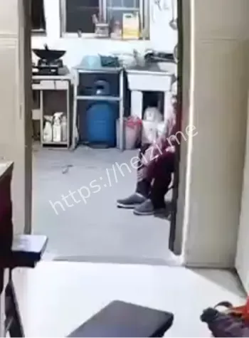 儿子暴打93岁母亲